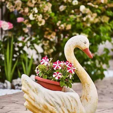 Appartement Doreta Roda (Corfu)